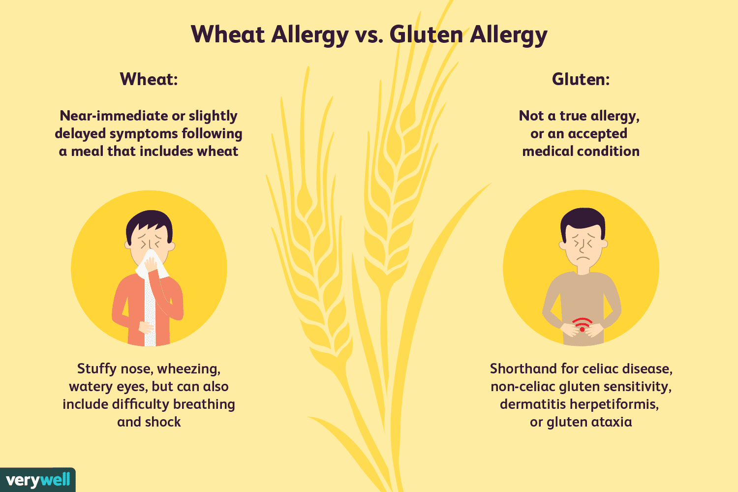 Can You Develop A Gluten Allergy GlutenProTalk